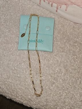 Gold Paperclip Chain Necklace by
